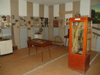 გივი ელიავას სახელობის მარტვილის მხარეთმცოდნეობის მუზეუმი